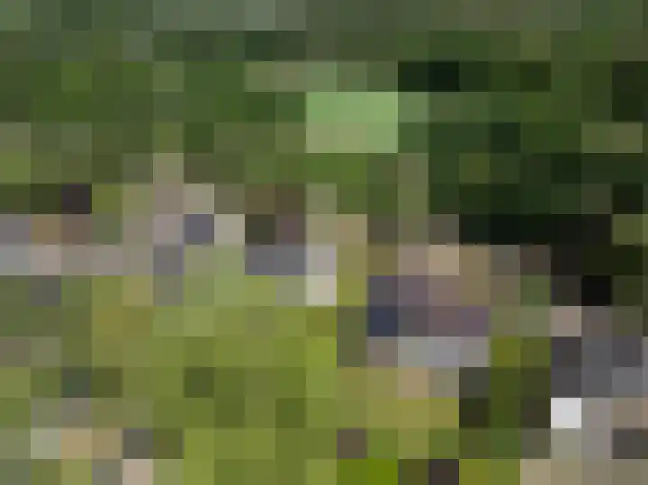 Wildbaan 9 Leersum thumbnail 68