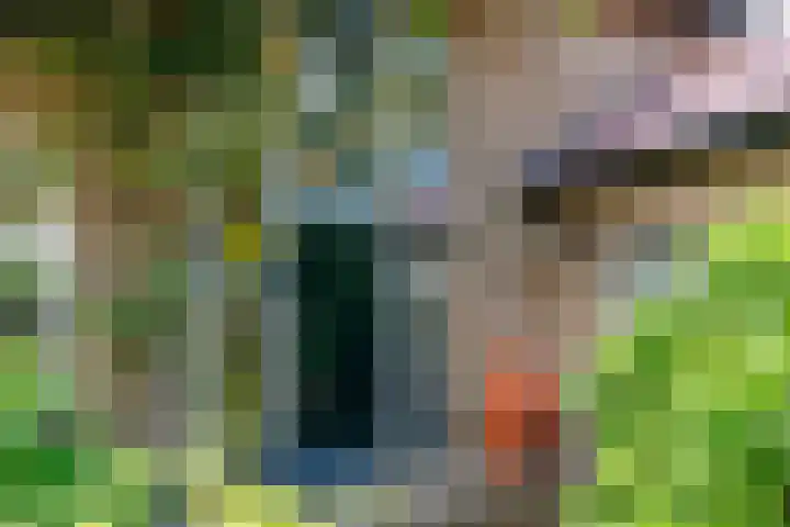 Wildbaan 9 Leersum thumbnail 7