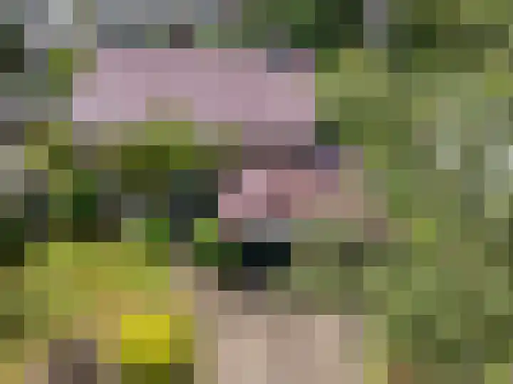 Wildbaan 9 Leersum thumbnail 70