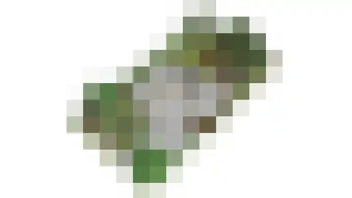 Wildbaan 9 Leersum thumbnail 88