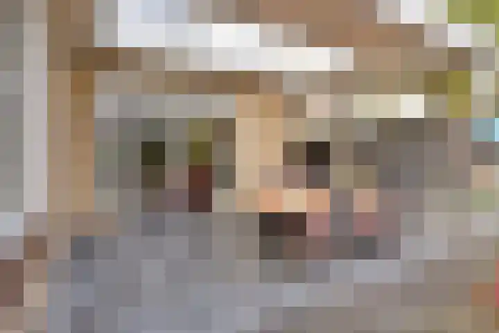Wildbraak 51 Bavel thumbnail 26