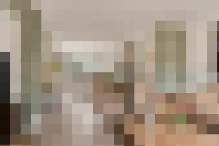 Wildbraak 51 Bavel thumbnail 8