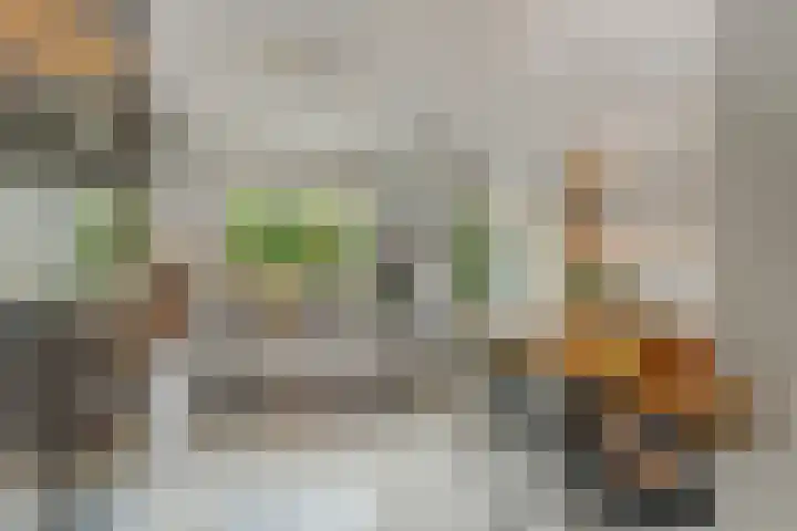 Wildbraak 53 Bavel thumbnail 14