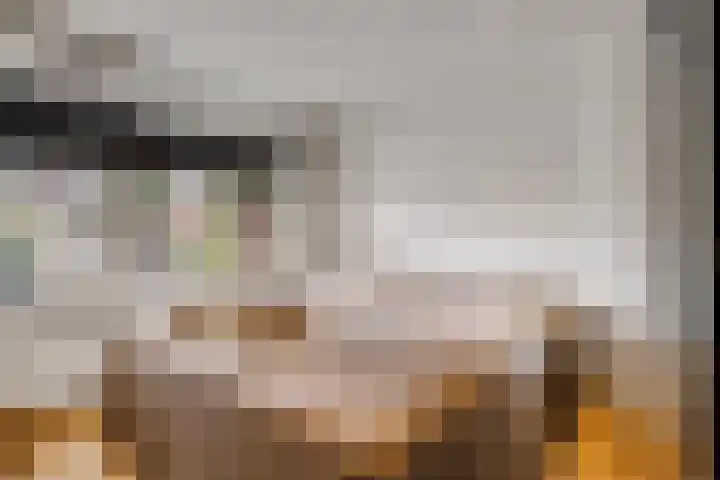 Wildbraak 53 Bavel thumbnail 19