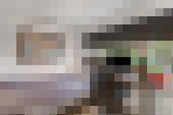 Wildbraak 53 Bavel thumbnail 20