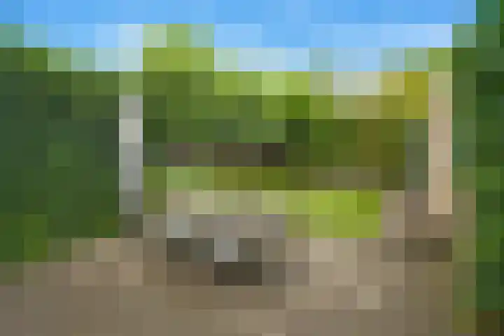 Wildbraak 53 Bavel thumbnail 24