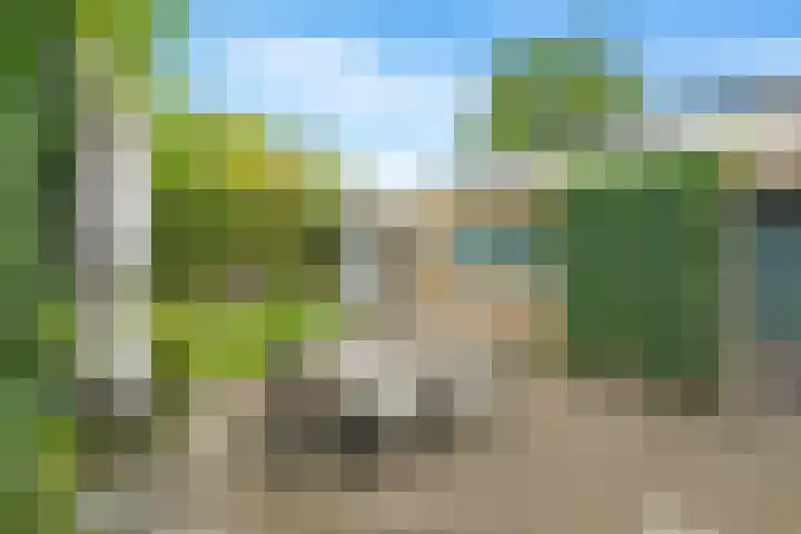 Wildbraak 53 Bavel thumbnail 25