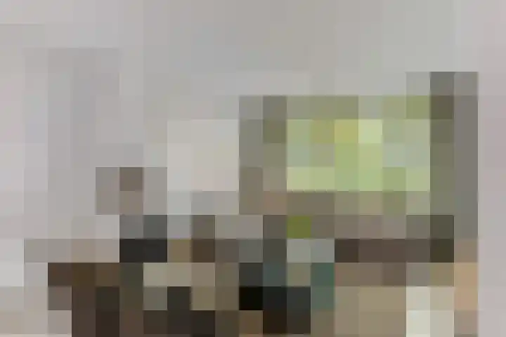 Wildbraak 53 Bavel thumbnail 5
