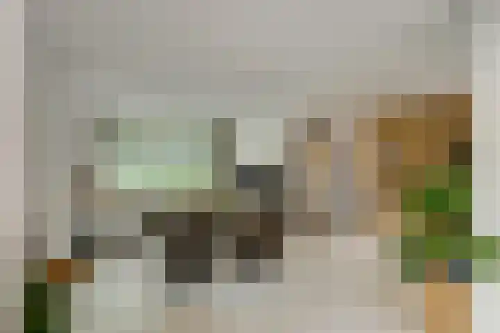Wildbraak 53 Bavel thumbnail 6