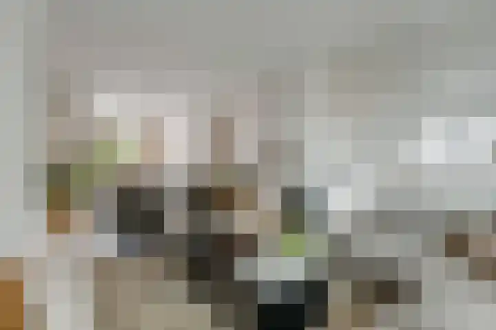 Wildbraak 53 Bavel thumbnail 7
