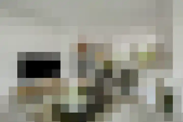 Wildbraak 53 Bavel thumbnail 8