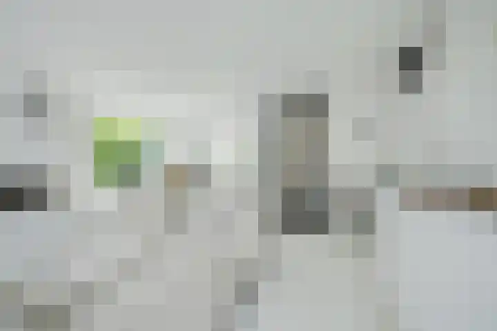 Wildbraak 55 Bavel thumbnail 12