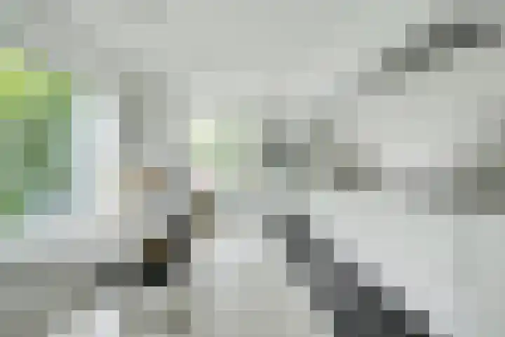 Wildbraak 55 Bavel thumbnail 16