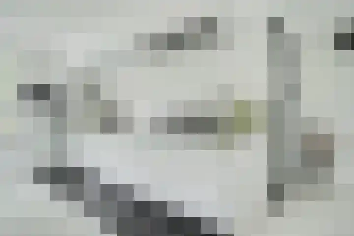 Wildbraak 55 Bavel foto 3