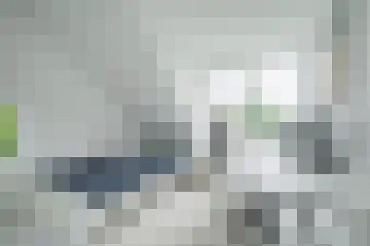 Wildbraak 55 Bavel thumbnail 33