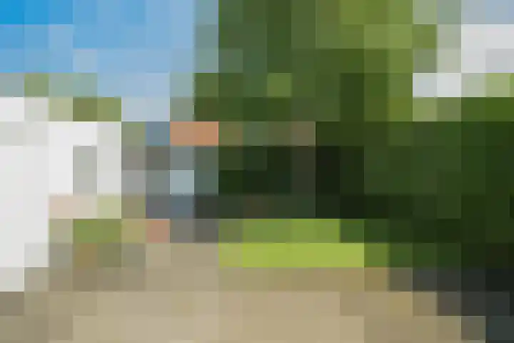 Wildbraak 55 Bavel thumbnail 35