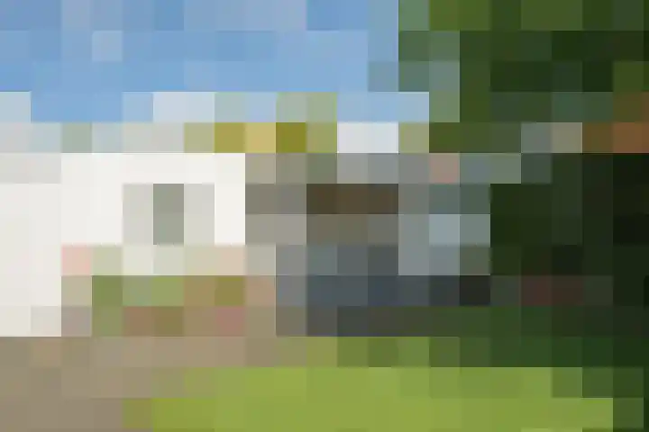 Wildbraak 55 Bavel thumbnail 36