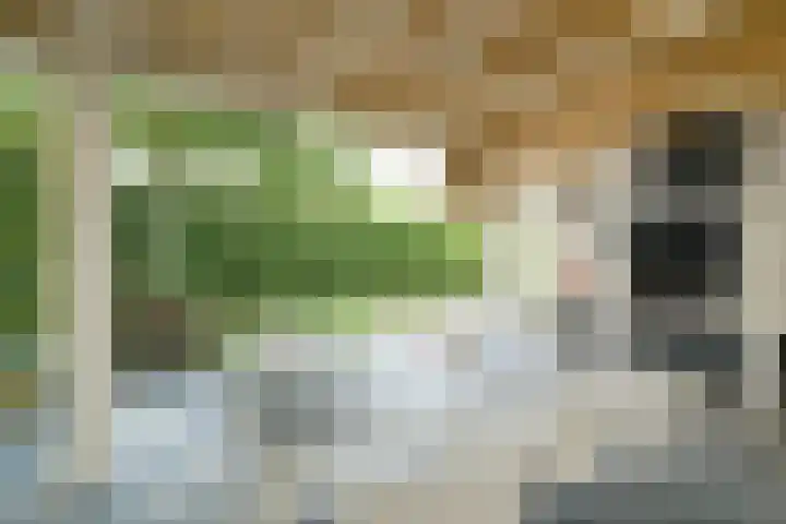 Wildbraak 55 Bavel thumbnail 38