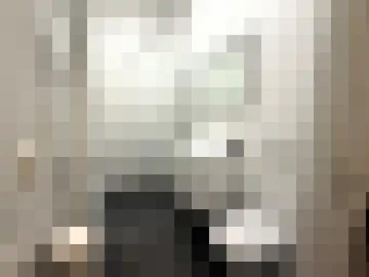 Wildbraak 55 Bavel thumbnail 4