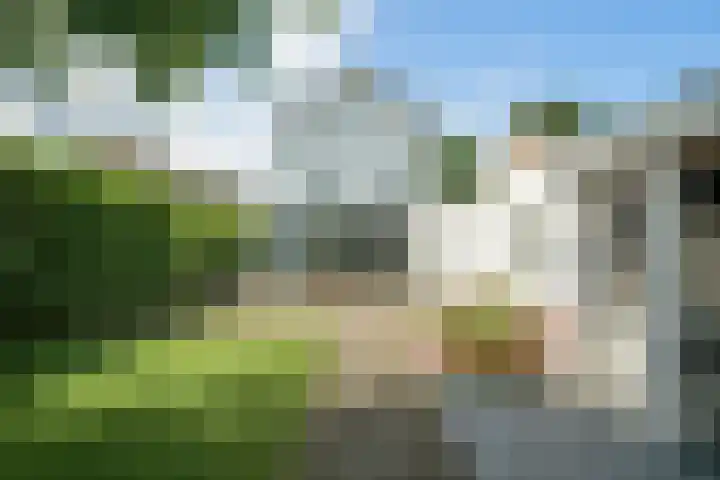 Wildbraak 55 Bavel thumbnail 4