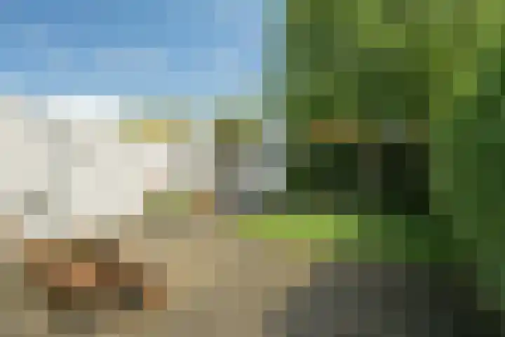 Wildbraak 55 Bavel thumbnail 41