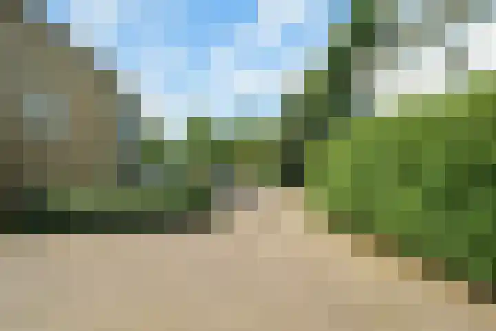 Wildbraak 55 Bavel thumbnail 43