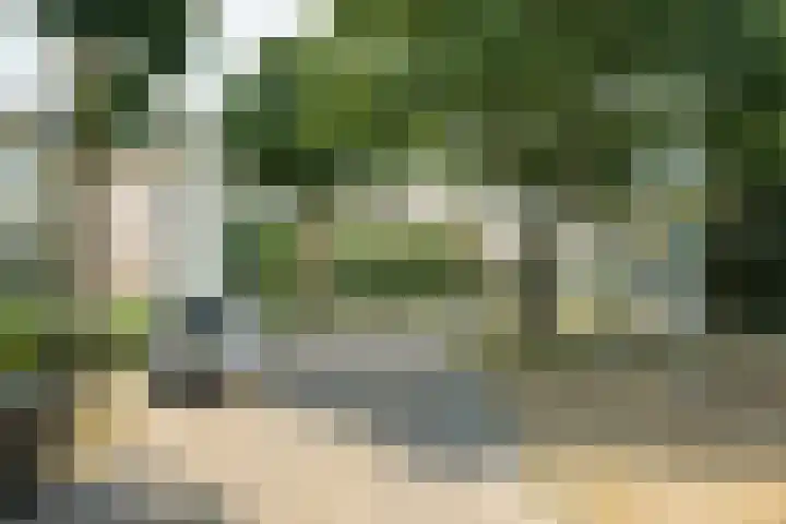 Wildbraak 55 Bavel thumbnail 44