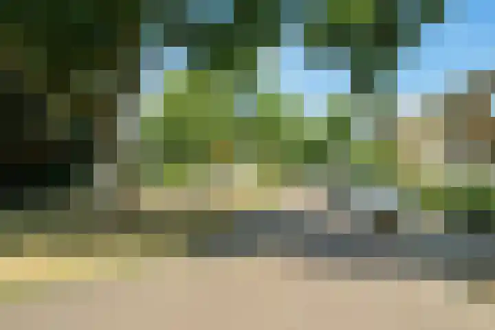 Wildbraak 55 Bavel thumbnail 45