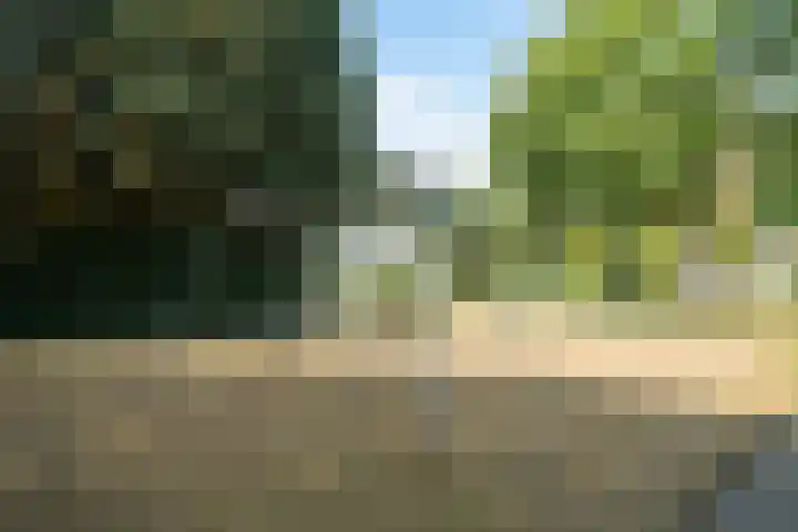 Wildbraak 55 Bavel thumbnail 46