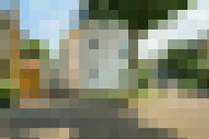 Wildbraak 55 Bavel thumbnail 50