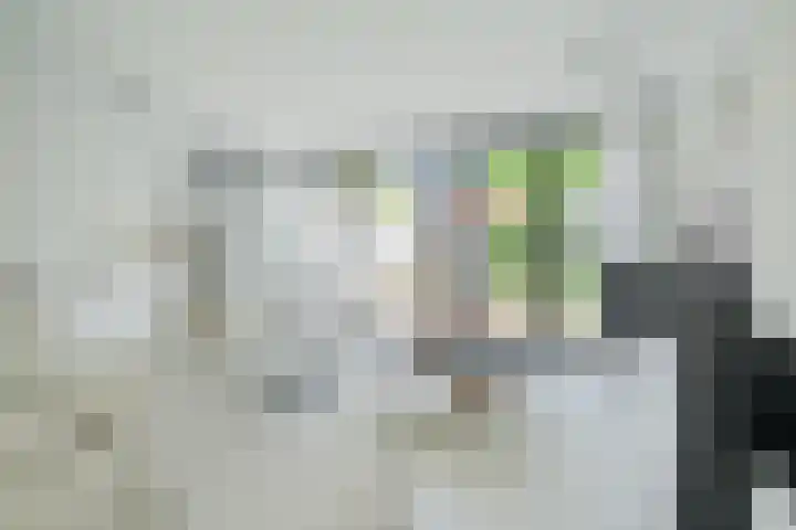 Wildbraak 55 Bavel thumbnail 9