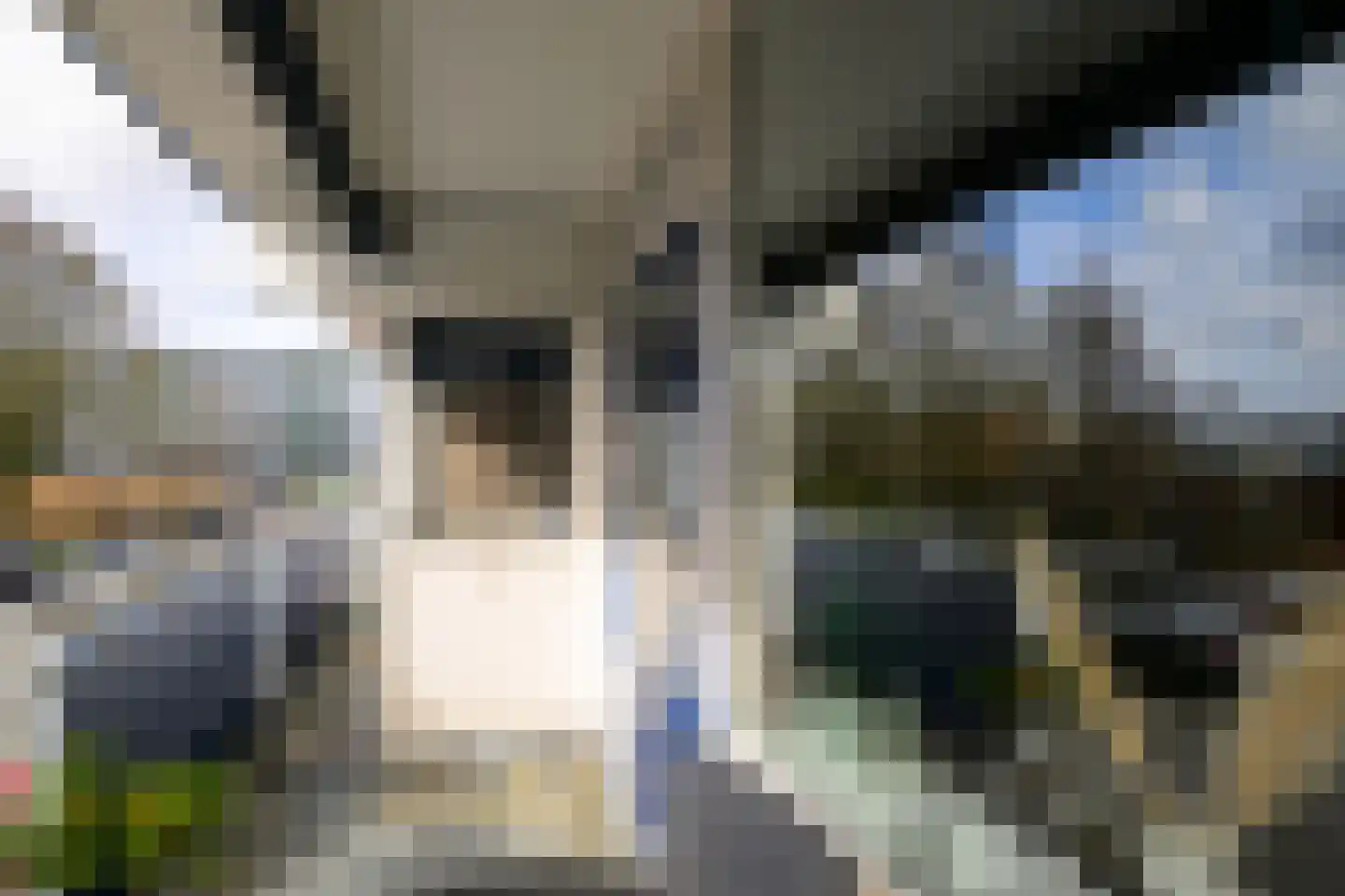 Wilddreef 10 Leiderdorp thumbnail 10