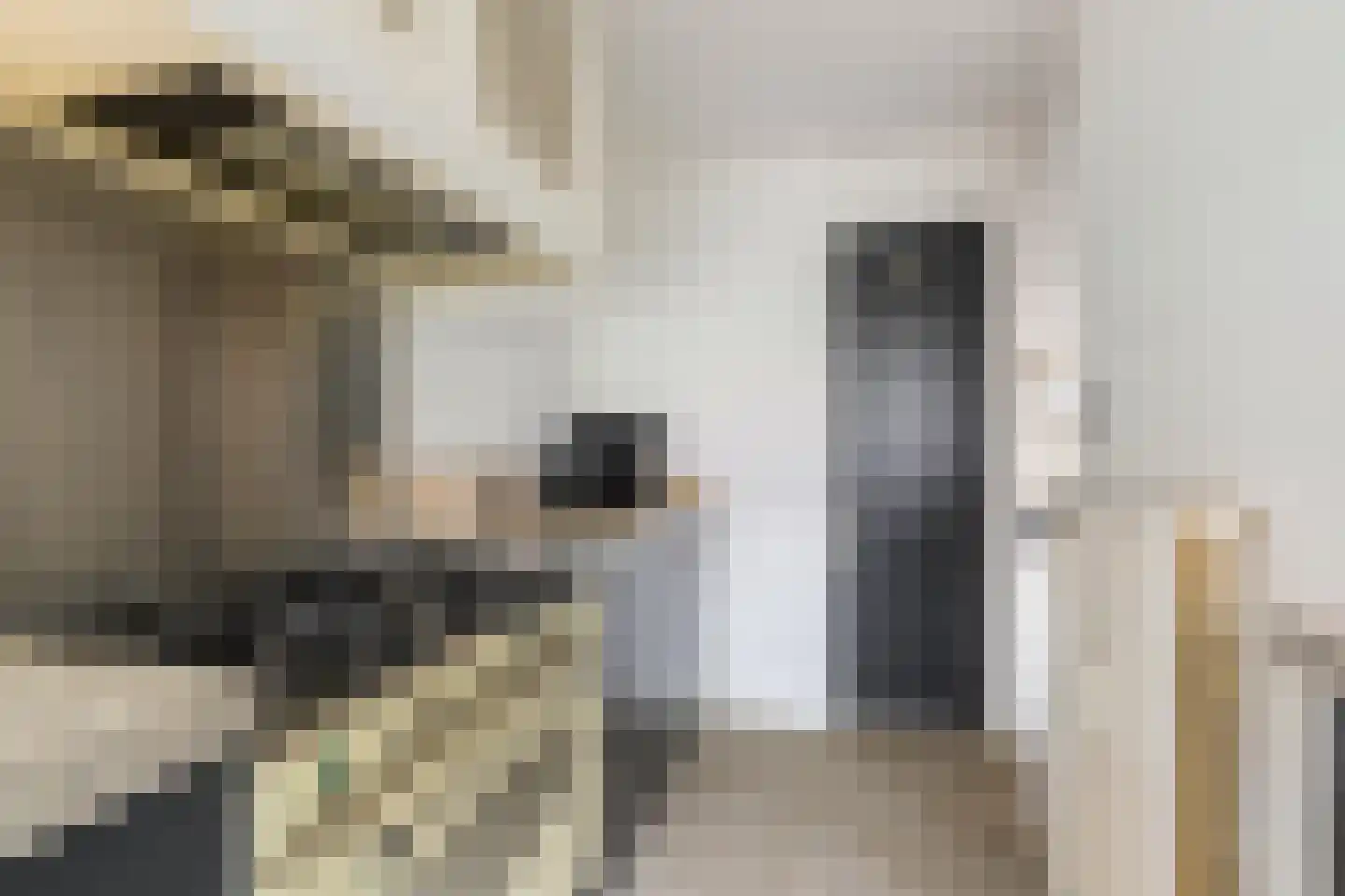 Wilddreef 10 Leiderdorp thumbnail 13