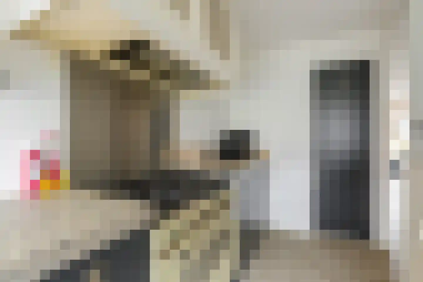 Wilddreef 10 Leiderdorp thumbnail 14