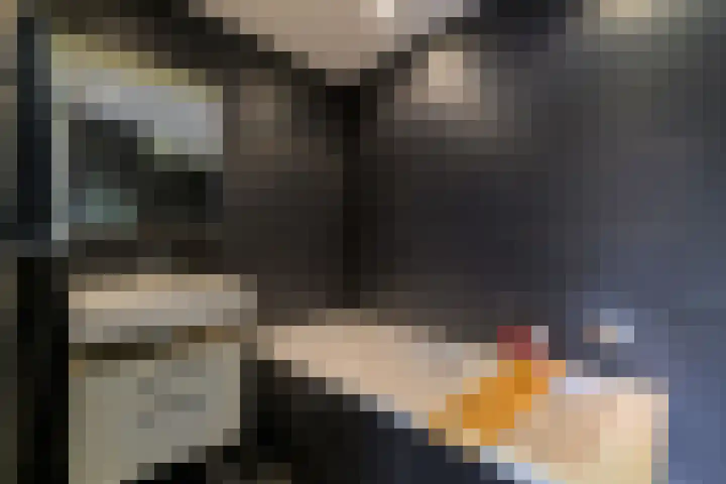 Wilddreef 10 Leiderdorp thumbnail 15
