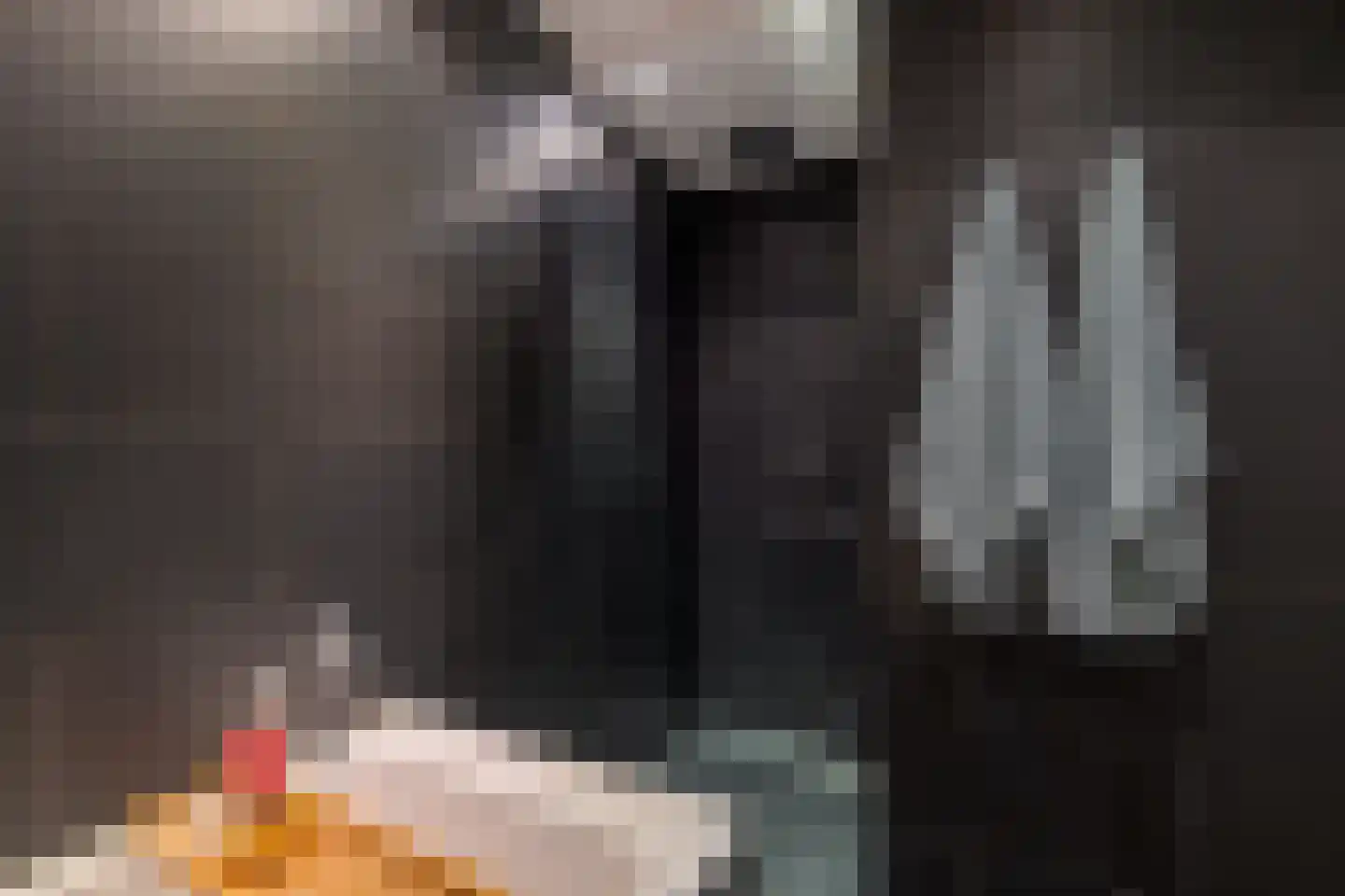 Wilddreef 10 Leiderdorp thumbnail 16