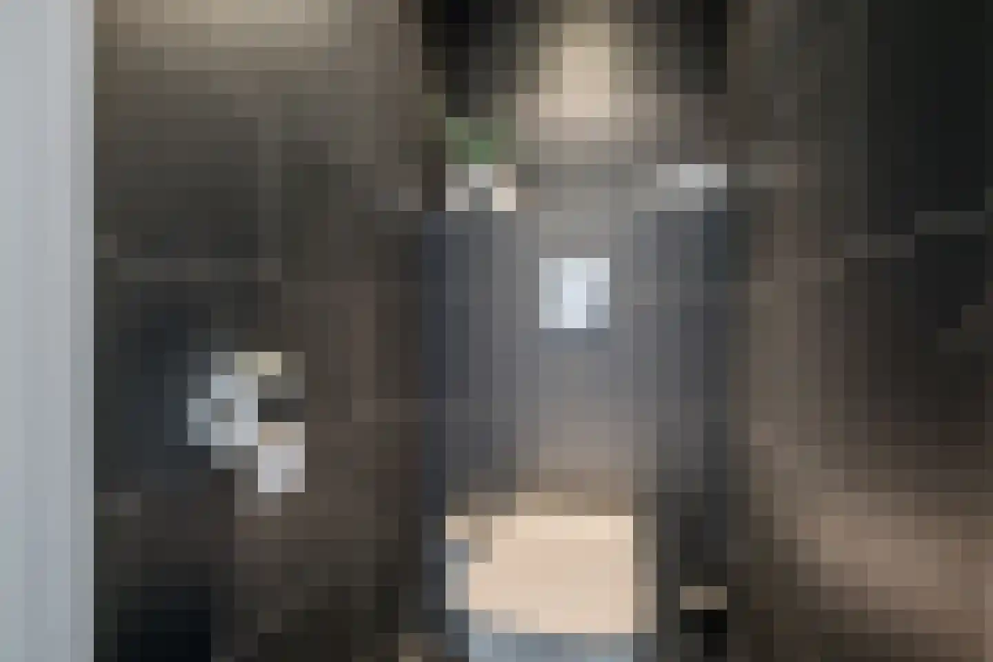 Wilddreef 10 Leiderdorp thumbnail 17