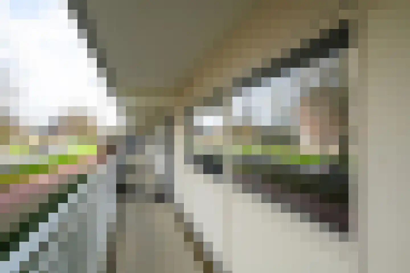 Wilddreef 10 Leiderdorp thumbnail 24