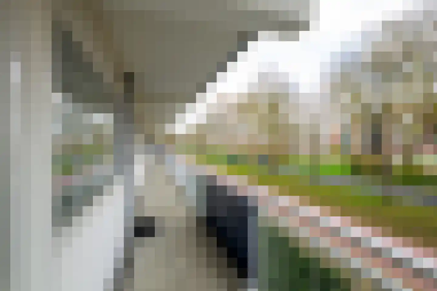 Wilddreef 10 Leiderdorp thumbnail 25