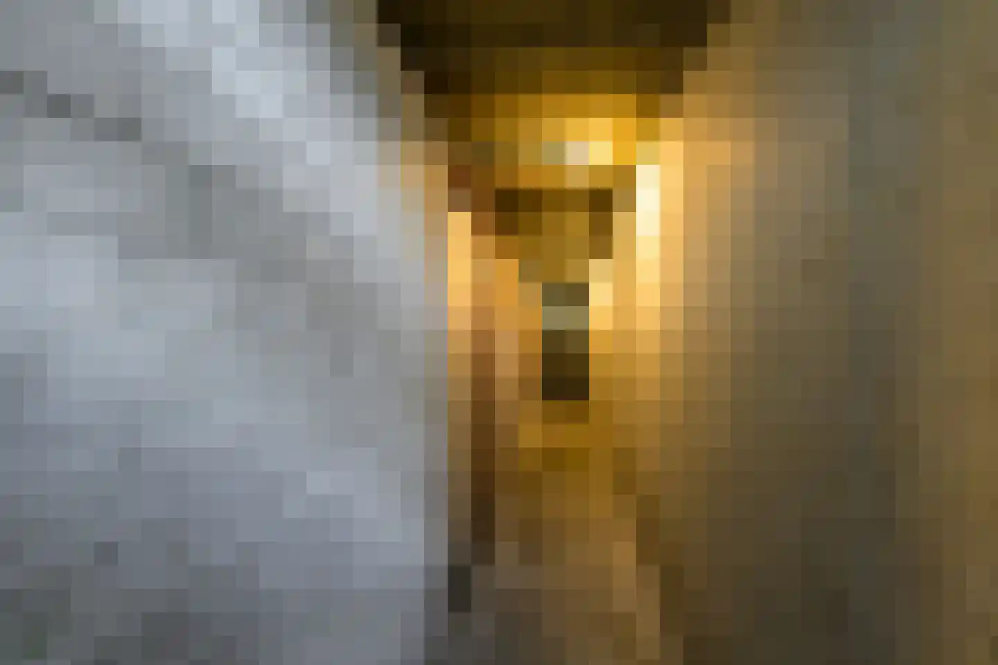 Wilddreef 10 Leiderdorp thumbnail 33