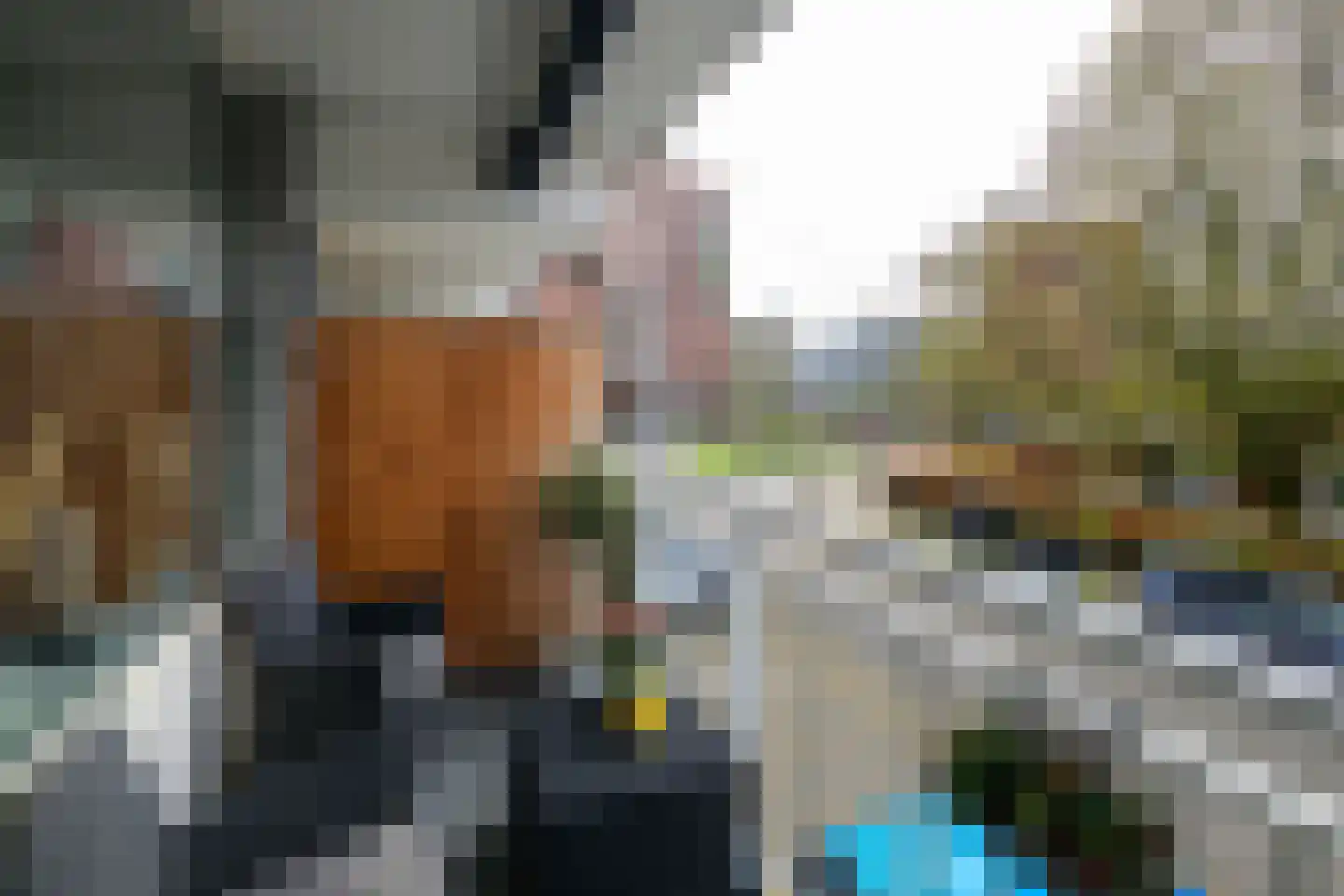 Wilddreef 10 Leiderdorp thumbnail 8
