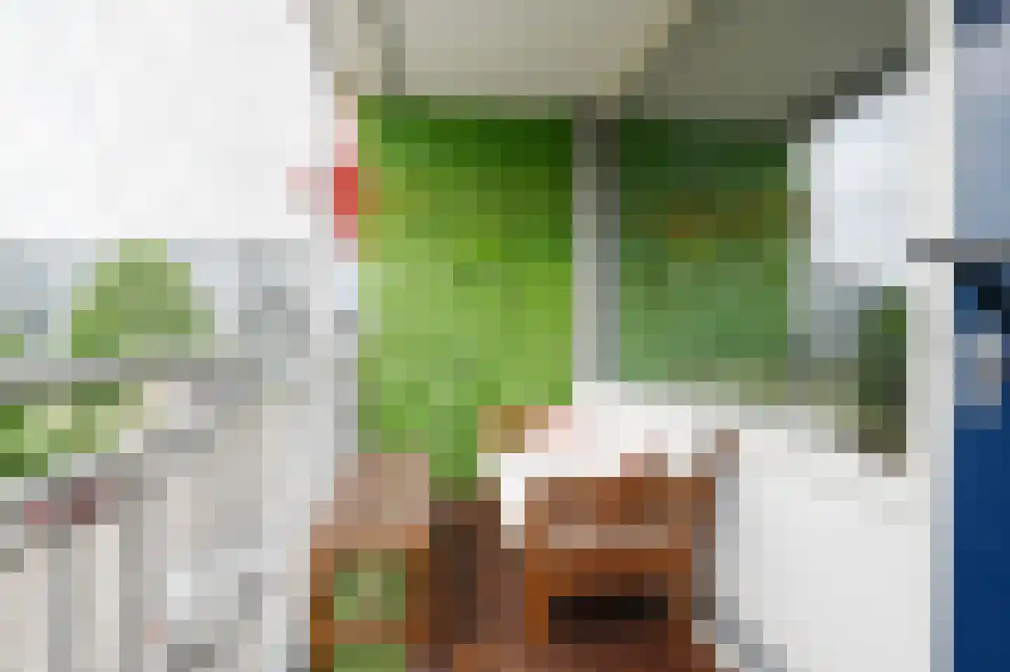 Wilddreef 36 Leiderdorp thumbnail 18