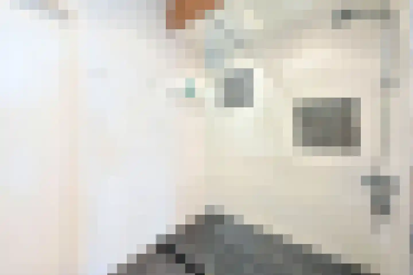 Wilddreef 36 Leiderdorp thumbnail 23