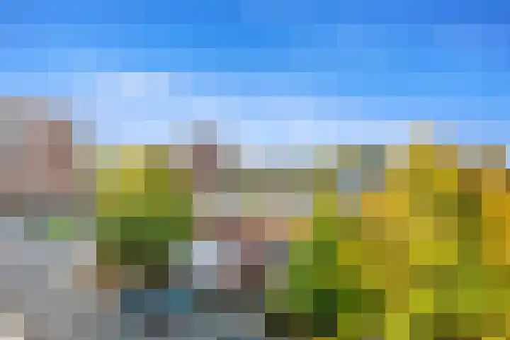 Wilddreef 74 Leiderdorp thumbnail 15