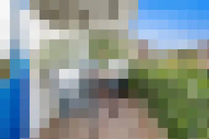 Wilddreef 74 Leiderdorp thumbnail 16
