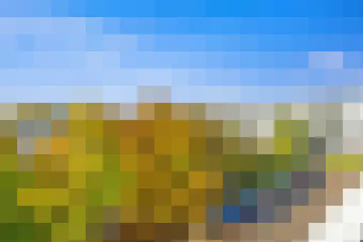 Wilddreef 74 Leiderdorp thumbnail 18