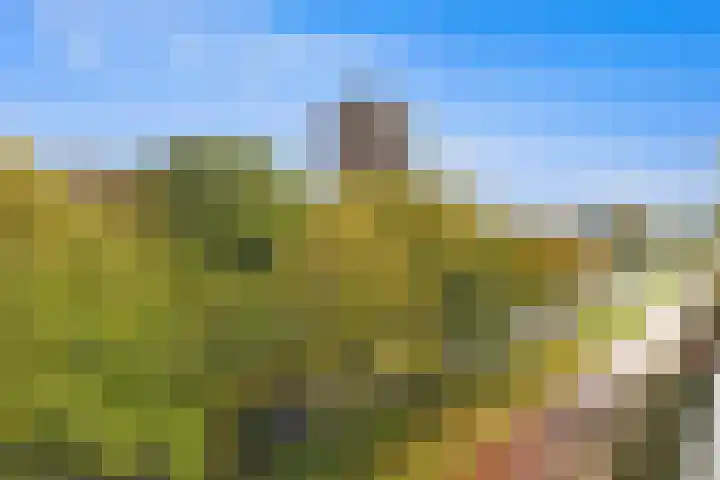 Wilddreef 74 Leiderdorp thumbnail 19