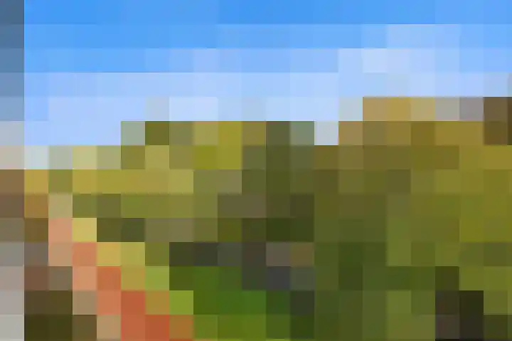 Wilddreef 74 Leiderdorp thumbnail 20