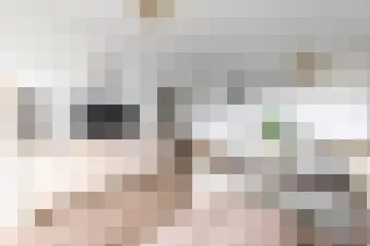 Wilddreef 74 Leiderdorp thumbnail 24