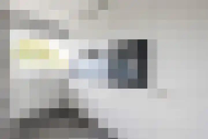 Wilddreef 74 Leiderdorp thumbnail 28